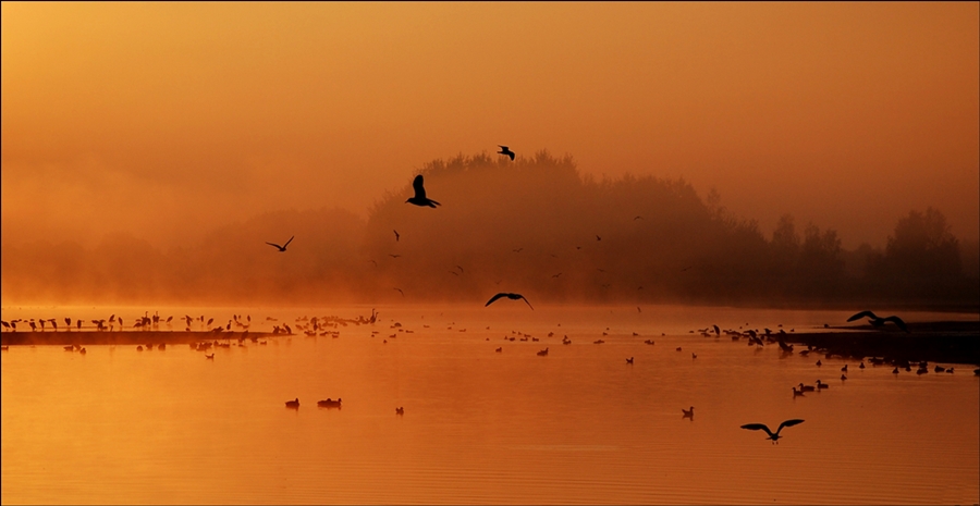 photo "***" tags: landscape, water