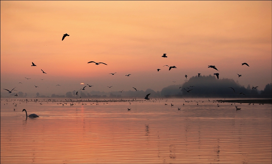 фото "***" метки: пейзаж, вода