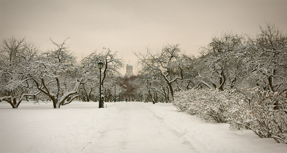 photo "***" tags: landscape, forest, winter