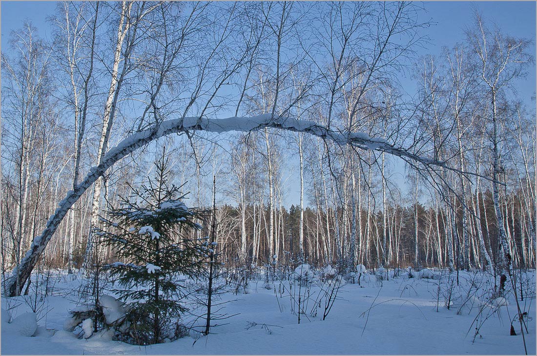 фото "Линия жизни" метки: , 