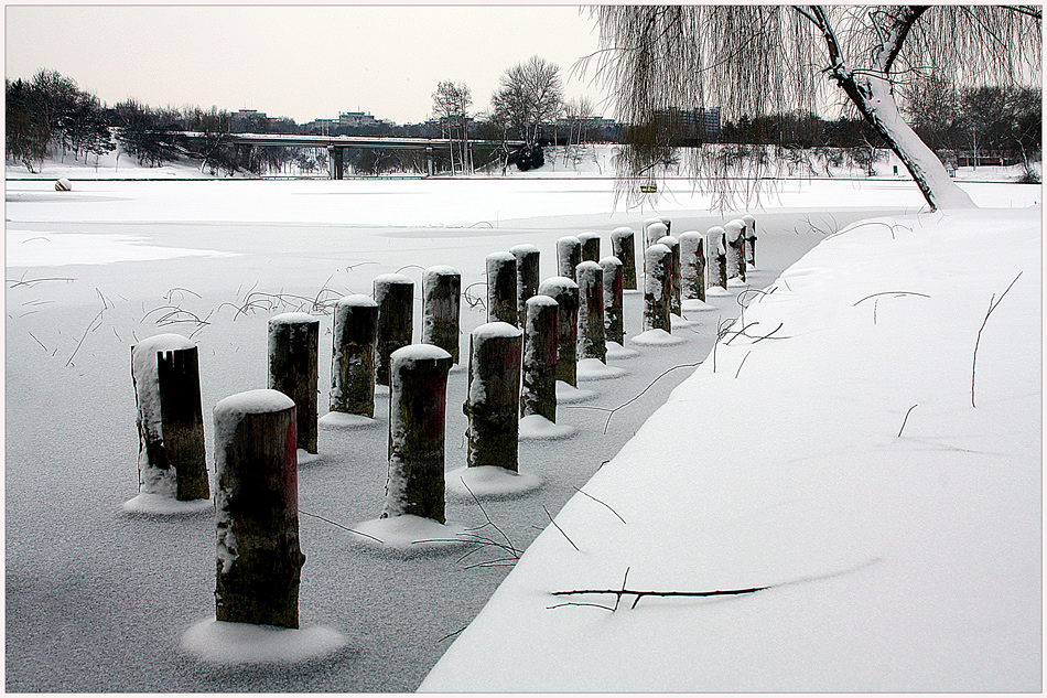 photo "Sentinels" tags: landscape, city, black&white, Bucharest, lake, park, snow, winter