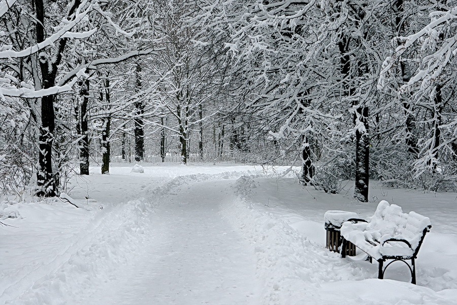 фото "Белое на белом" метки: пейзаж, зима, лес