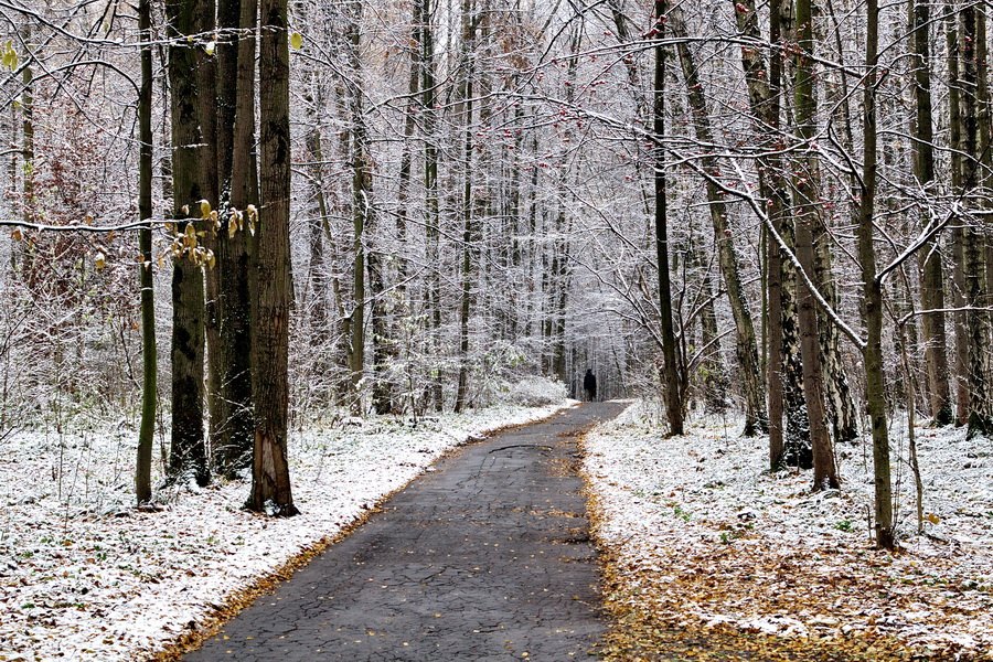 фото "Первый снег" метки: пейзаж, зима