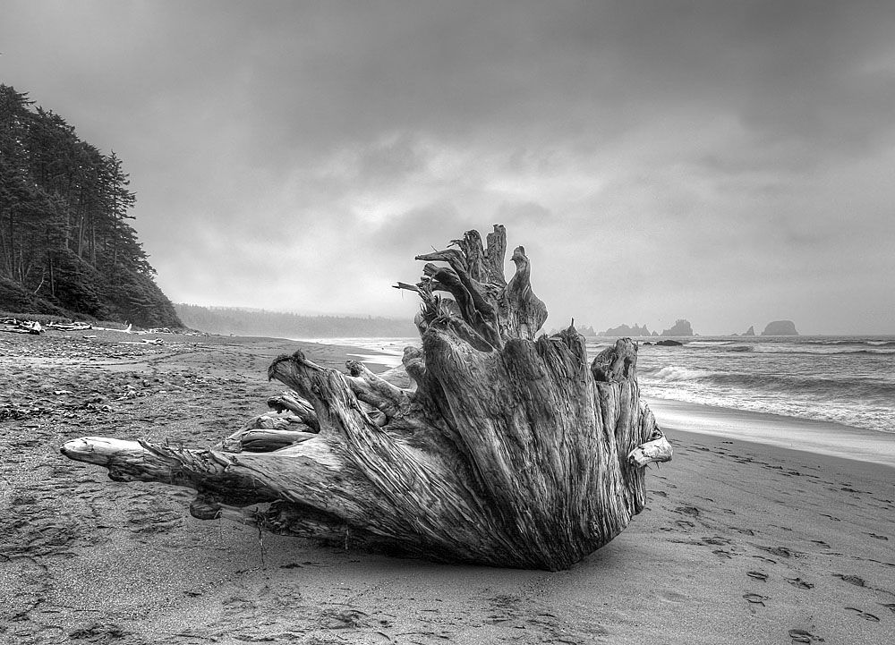 photo "Wooden Flame" tags: landscape, black&white, water
