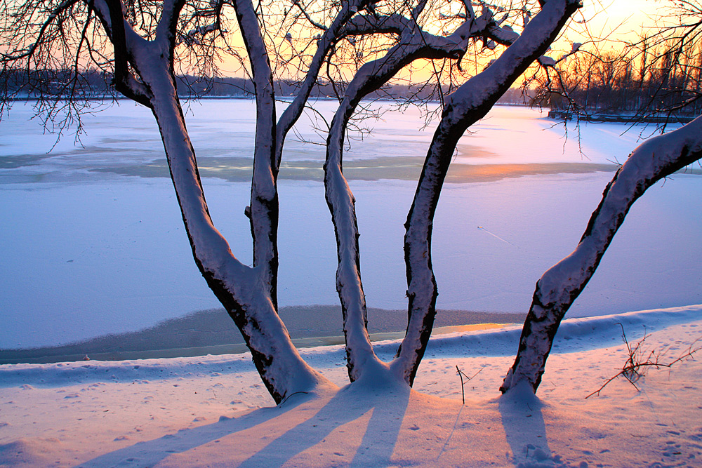 photo "Winter Contrasts" tags: landscape, city, Bucharest, lake, park, snow, sunset, winter