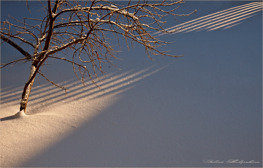 photo "***" tags: landscape, winter