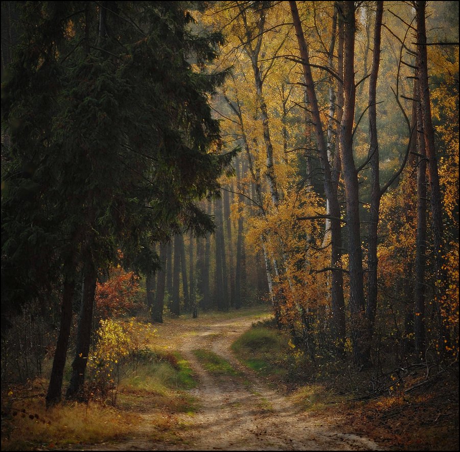 фото "*" метки: , 