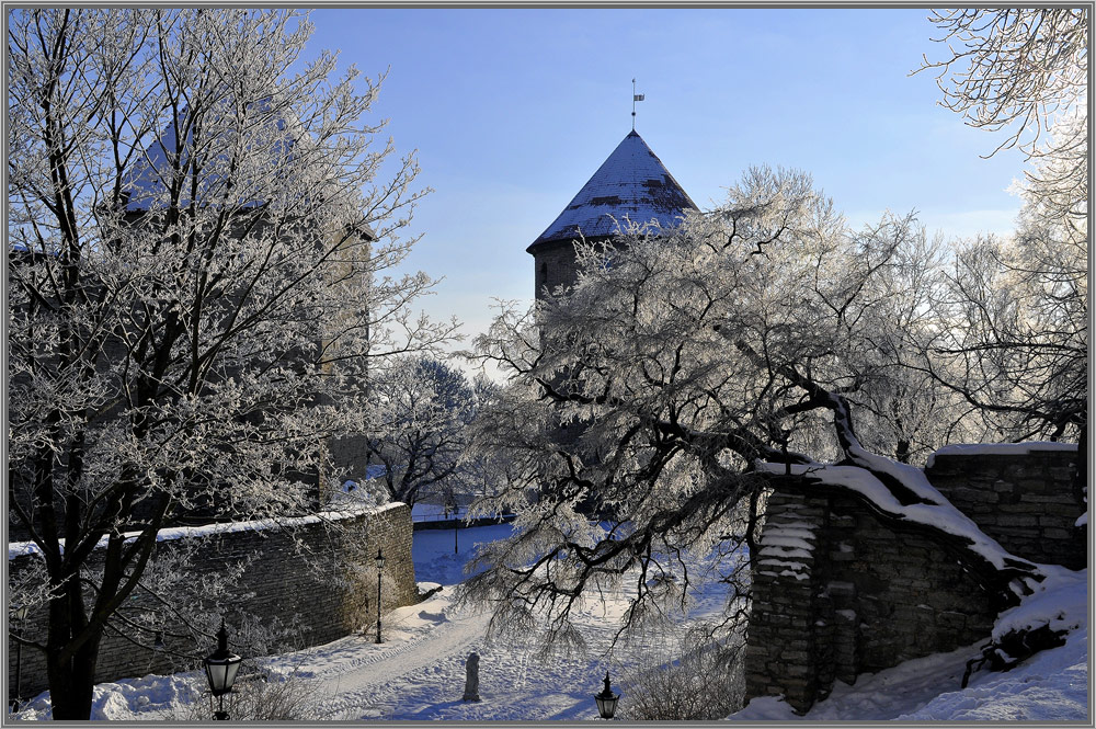 photo "***" tags: landscape, winter