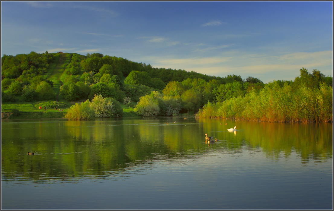 photo "***" tags: landscape, summer, water