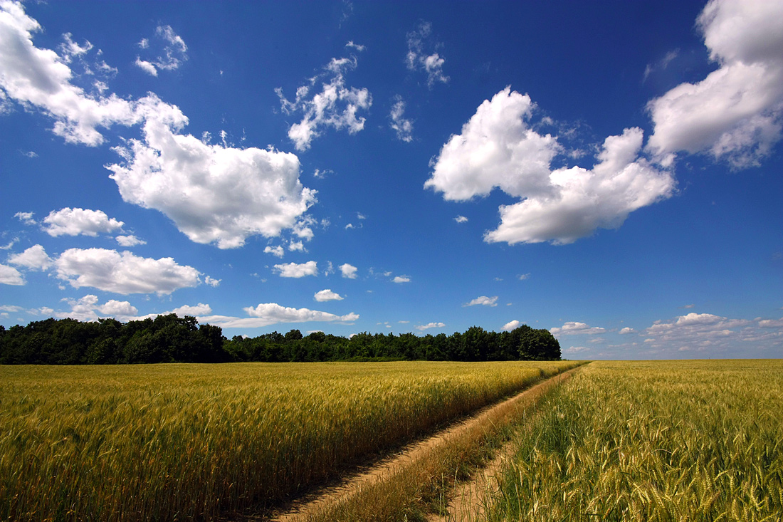 photo "End of Spring" tags: landscape, clouds, field, sky, summer