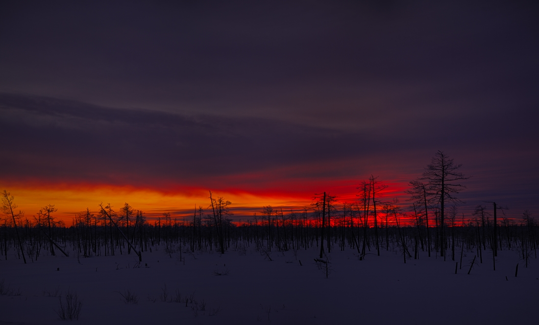 photo "***" tags: landscape, sunset, winter