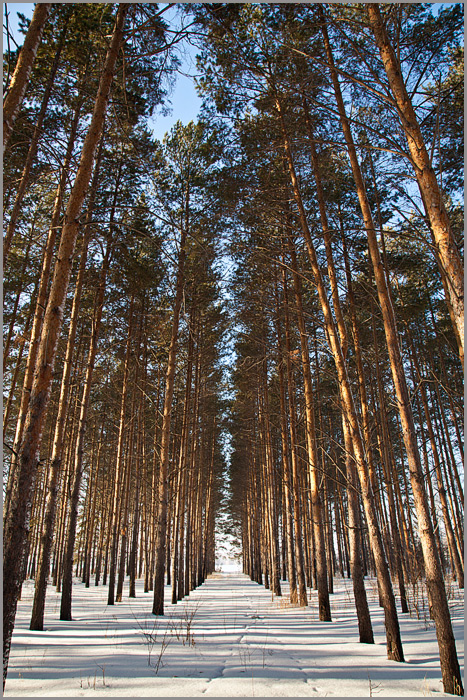 фото "Свод..." метки: , 