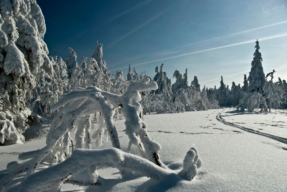 photo "***" tags: landscape, winter