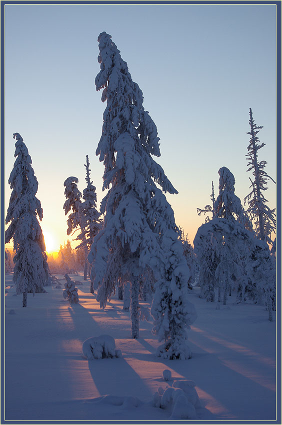 photo "***" tags: landscape, forest, winter