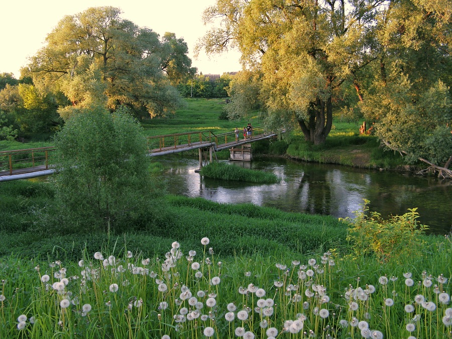 photo "***" tags: landscape, spring