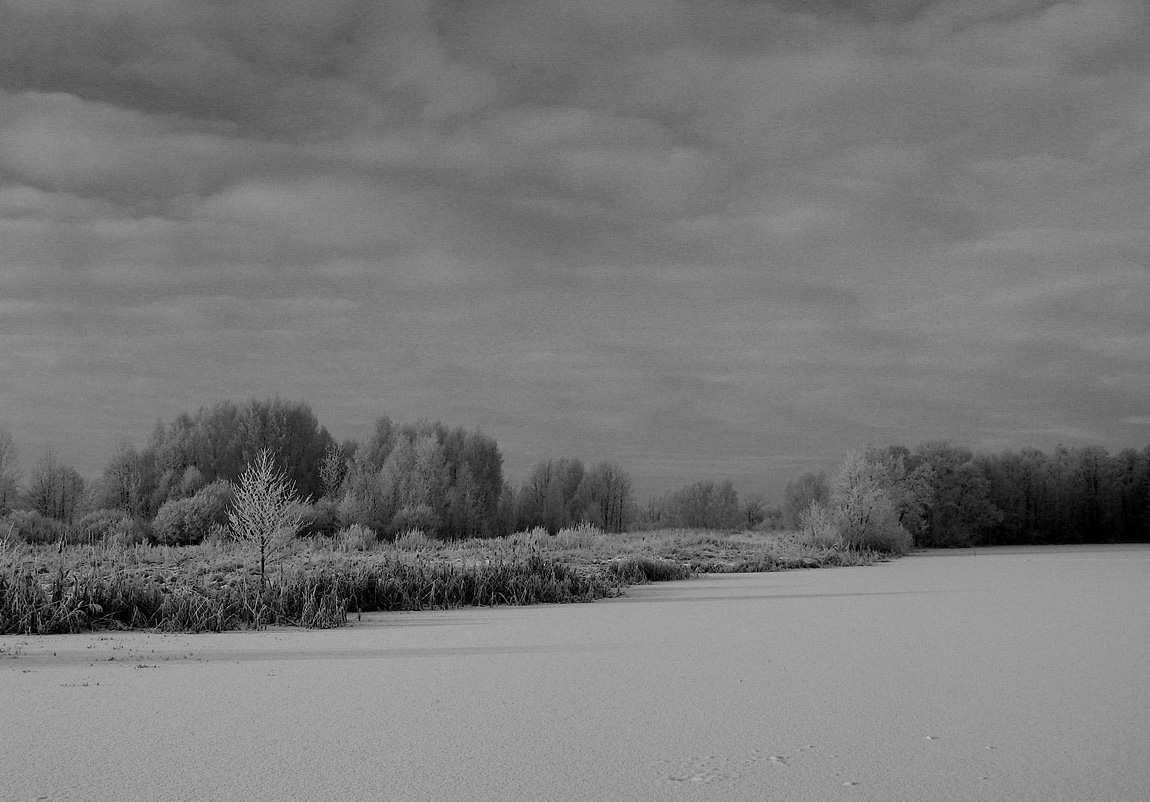 photo "In the winter." tags: landscape, black&white, winter