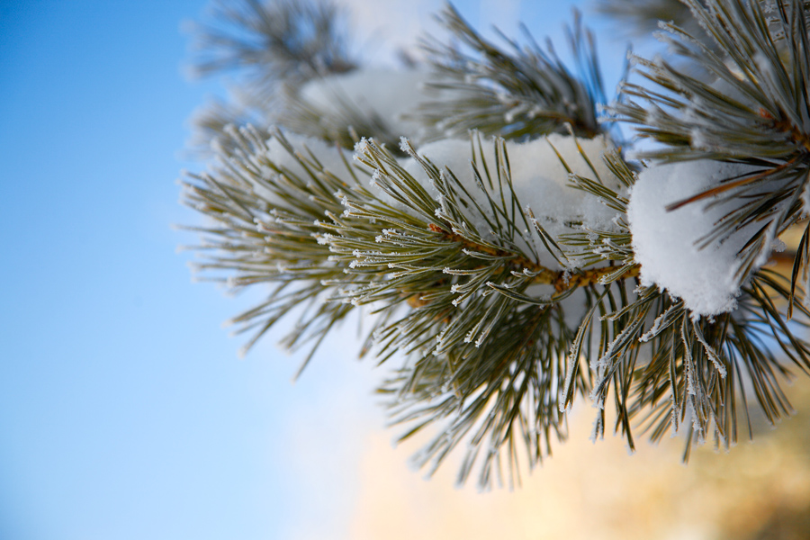 photo "***" tags: landscape, winter