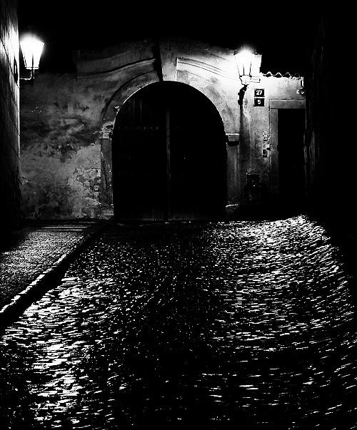 photo "Ночной ворота а мостовая" tags: black&white, 