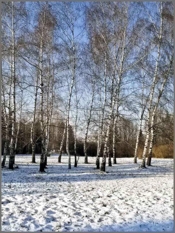 photo "***" tags: landscape, winter