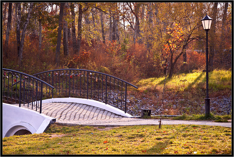 photo "***" tags: landscape, forest