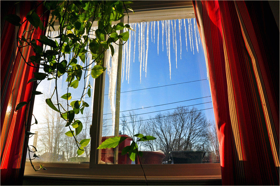 фото "Радостное утро в конце зимы" метки: пейзаж, фрагмент, зима