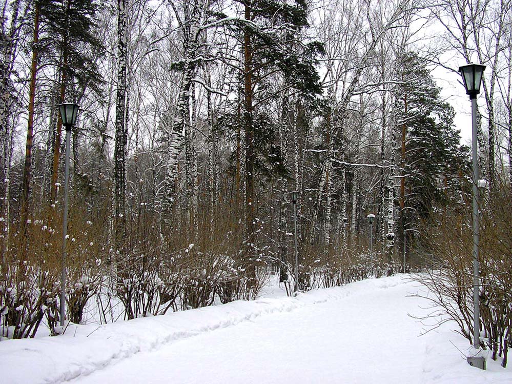photo "February" tags: landscape, winter
