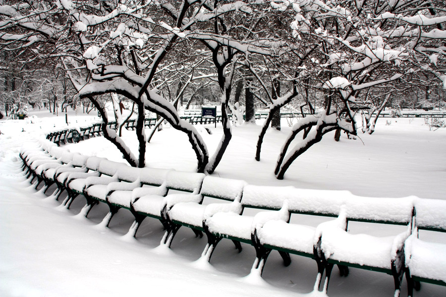 photo "Snowy park" tags: landscape, city, black&white, Bucharest, park, snow, winter