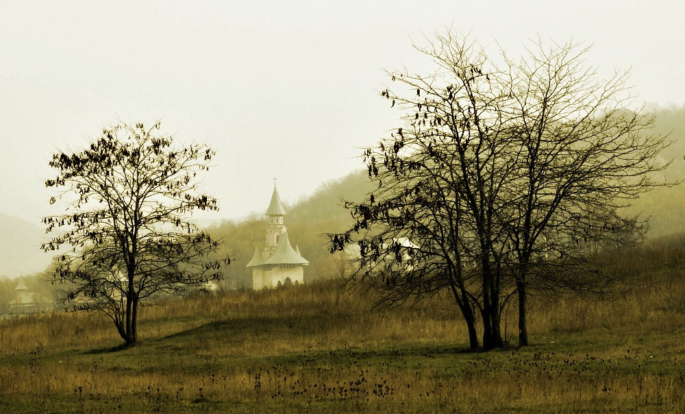 фото "autumn morning" метки: пейзаж, осень