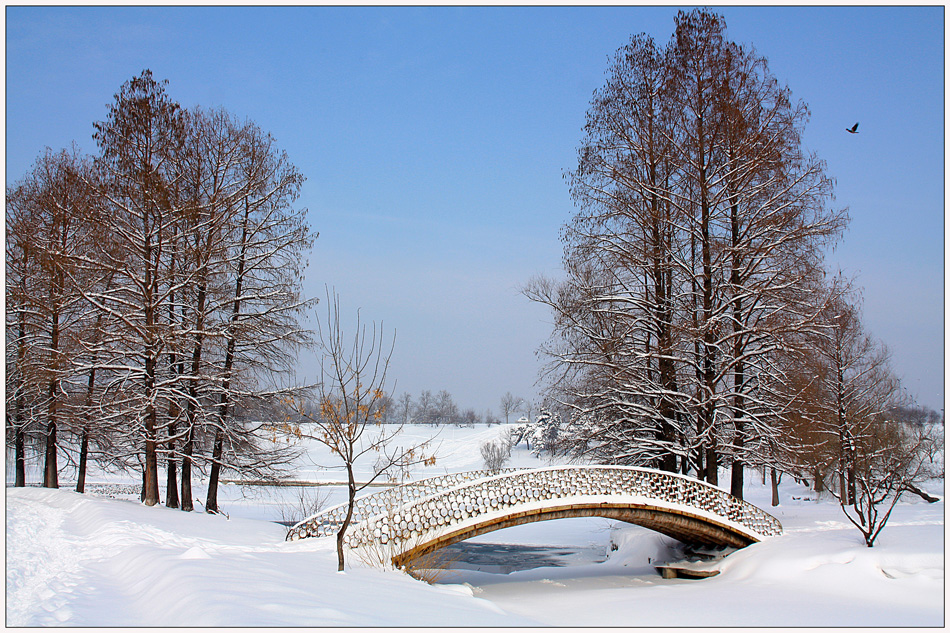 photo "Winter quiet" tags: landscape, city, Bucharest, bridge, park, snow, tree, winter