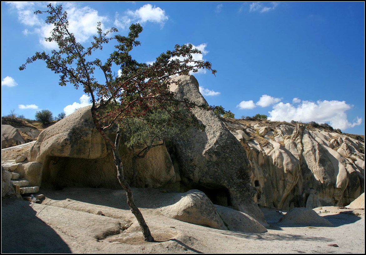 photo "And on stones trees grow" tags: landscape, autumn, mountains