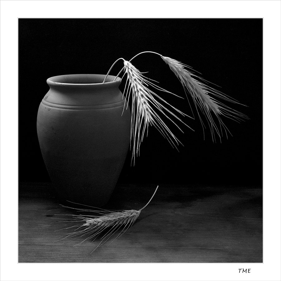 фото "Шорох" метки: натюрморт, 