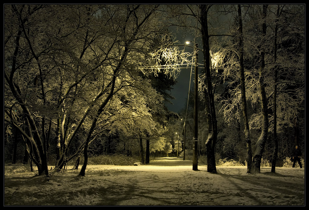 photo "***" tags: landscape, night, winter