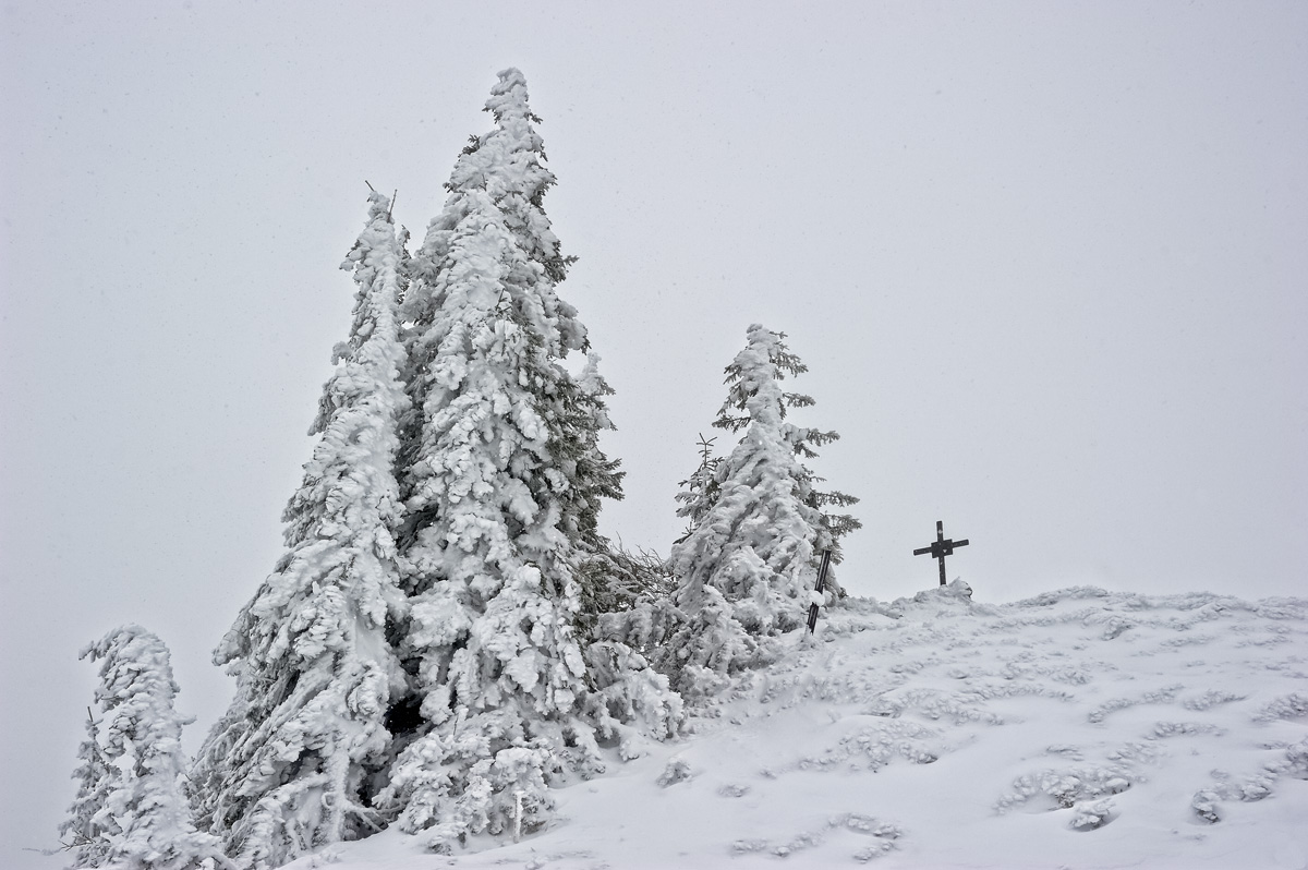 photo "Some sparrow is no longer prance..." tags: landscape, mountains, winter