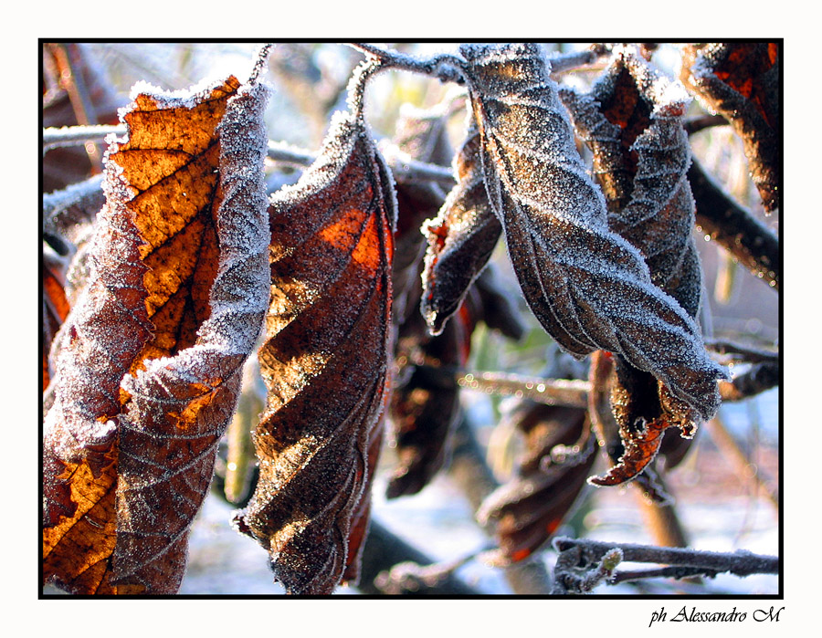 photo "color frozen" tags: landscape, winter