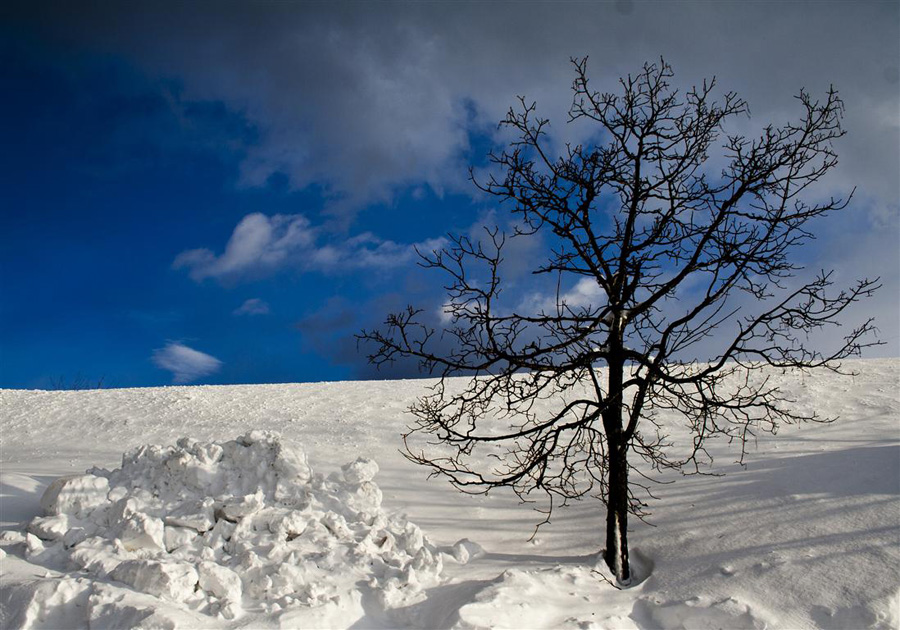 photo "***" tags: landscape, nature, winter