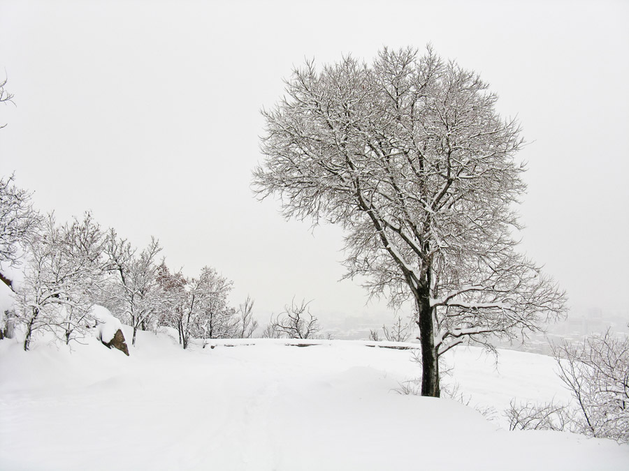 photo "***" tags: landscape, winter