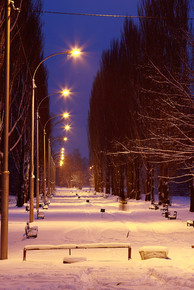 фото "Романтичная аллея" метки: пейзаж, зима, ночь
