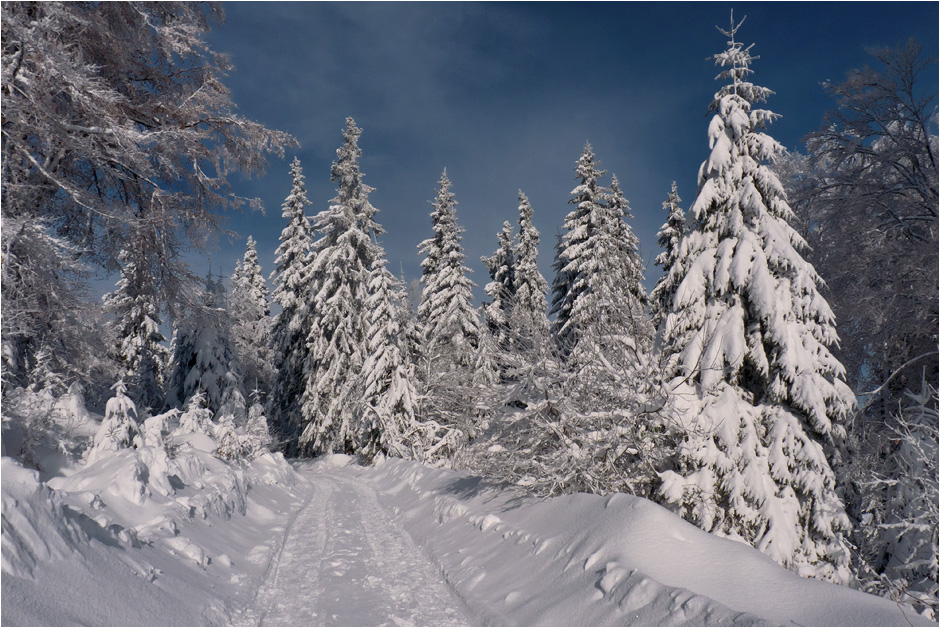 photo "***" tags: landscape, winter