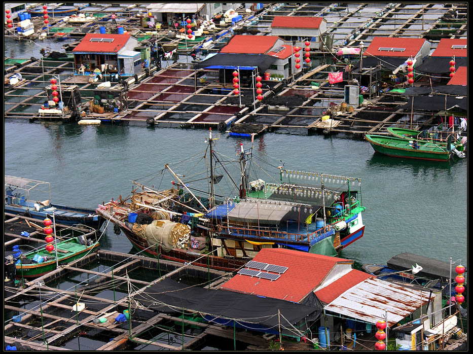 photo "***" tags: travel, Asia