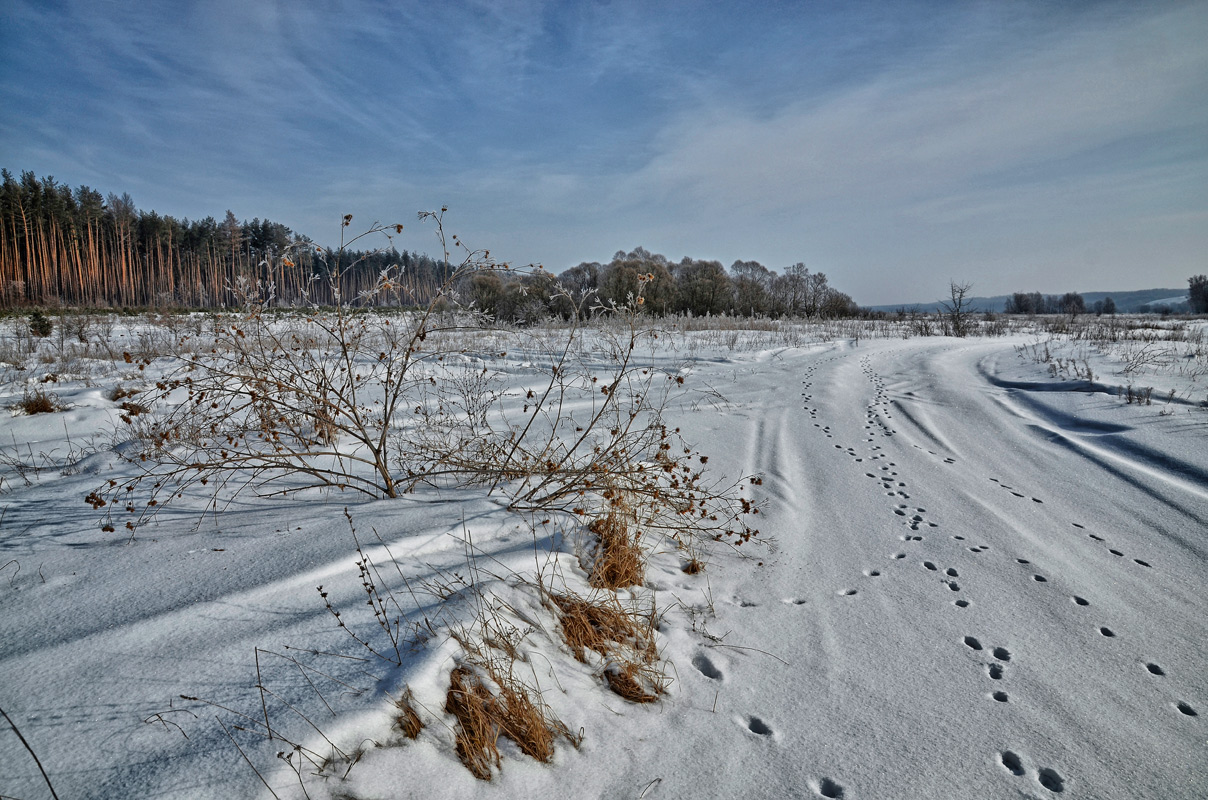 photo "***" tags: landscape, winter