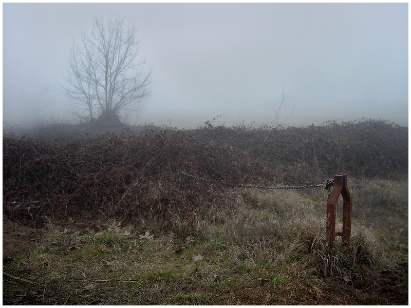 photo "***" tags: landscape, winter