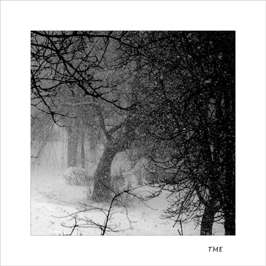 photo "***" tags: landscape, winter