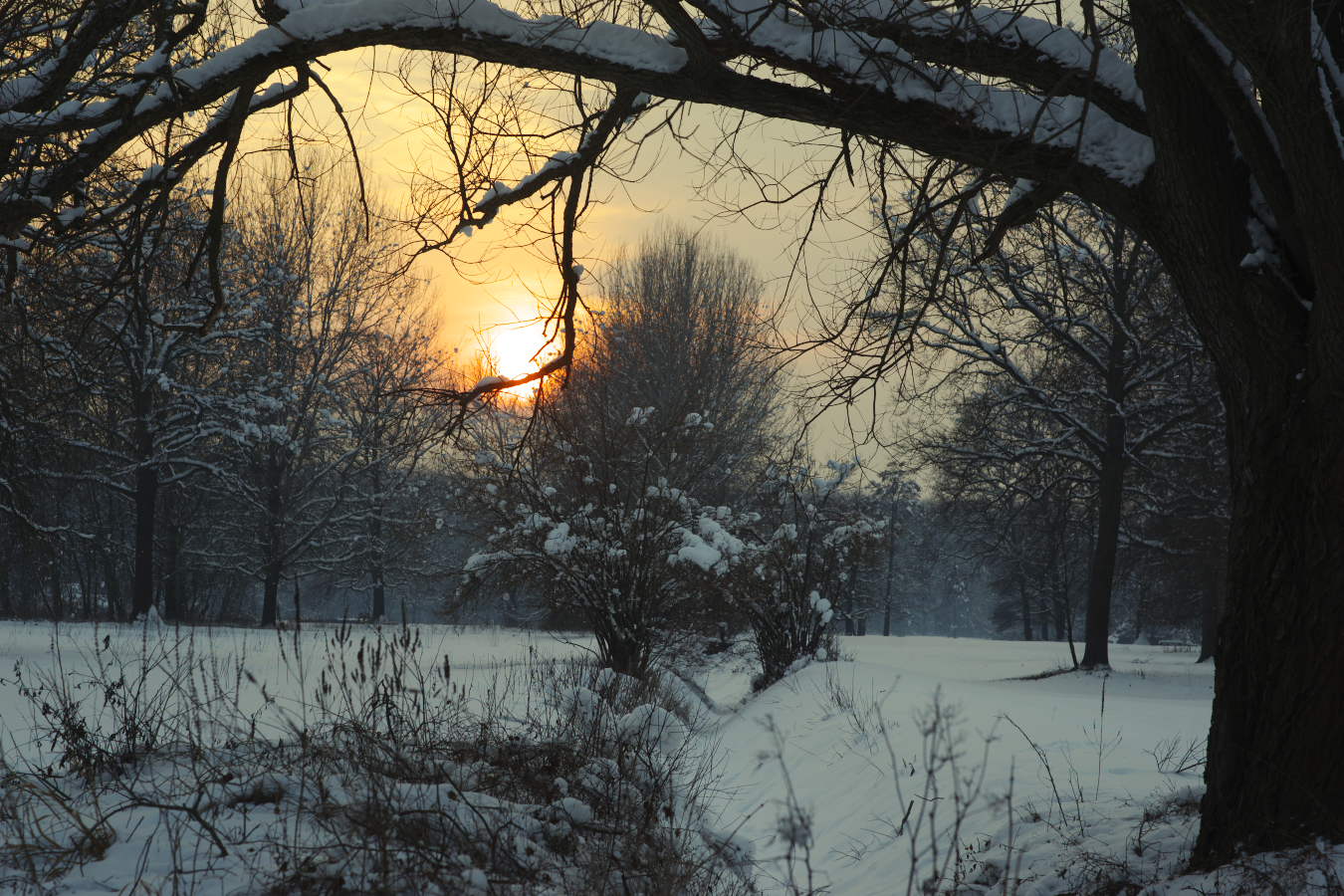 фото "winter ending" метки: пейзаж, зима