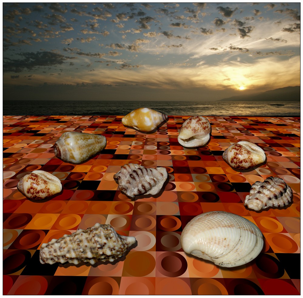 photo "Sea Shell Conference On Dry Against The Global Warming" tags: , 