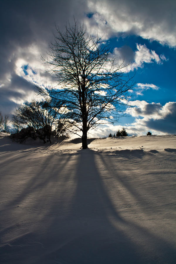 photo "Silence" tags: landscape, winter