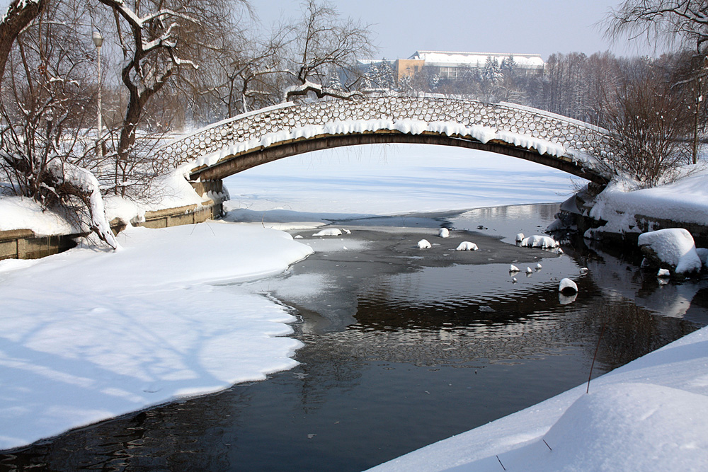 photo "White arch" tags: landscape, city, Bucharest, bridge, lake, park, snow, winter