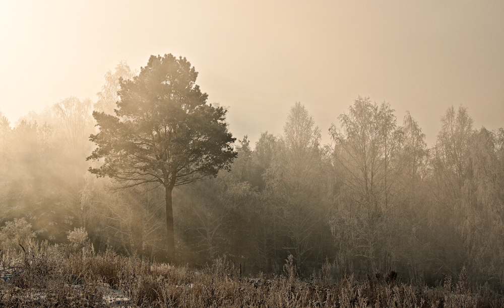 photo "***" tags: landscape, sunset