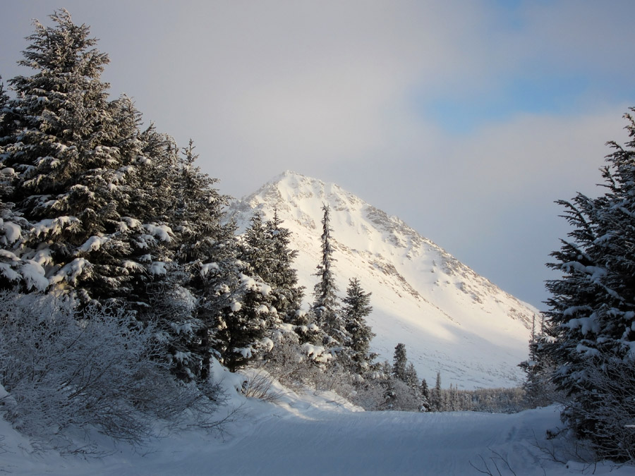 photo "Дорожка" tags: landscape, travel, North America, mountains