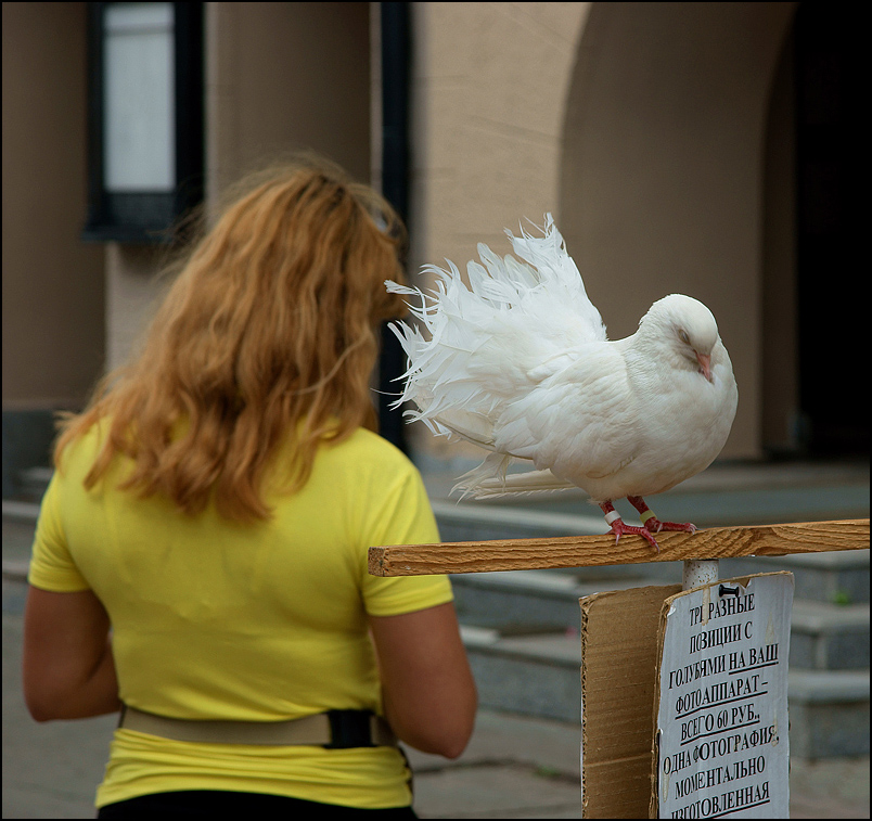 photo "The crisis everywhere..." tags: city, nature, pets/farm animals