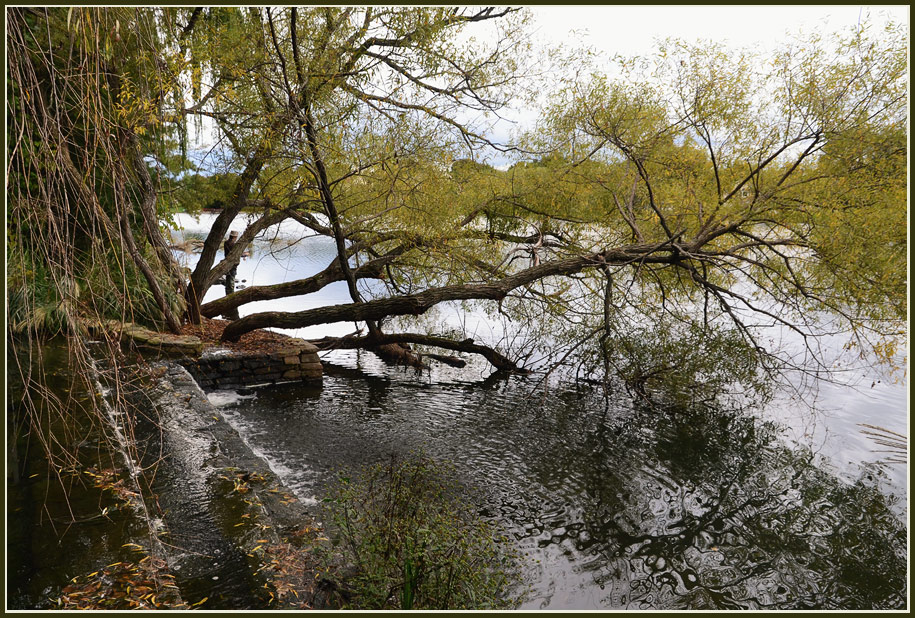 photo "***" tags: landscape, summer, water